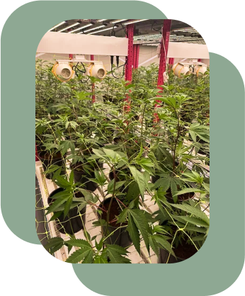 Small Batch Processing